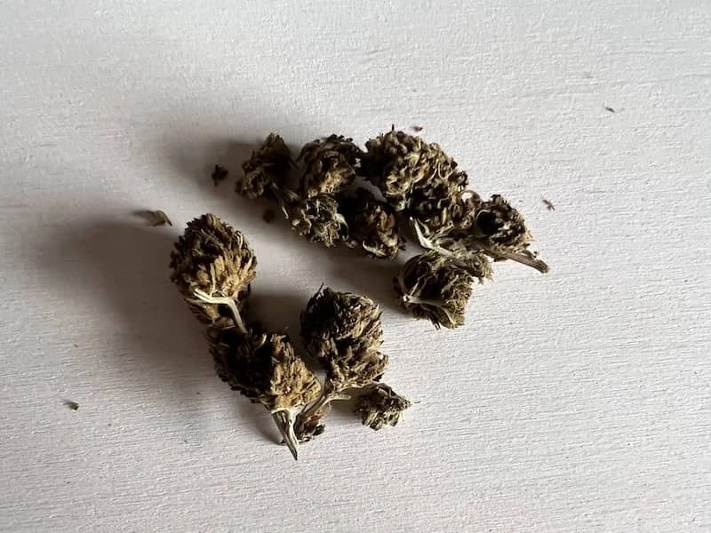 CBD cannadorra